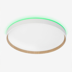 Накладной светильник Citilux CL750400R ETALON