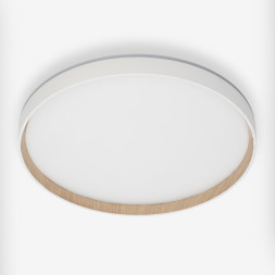 Накладной светильник Citilux CL750400R ETALON