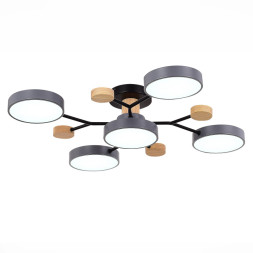 Люстра на штанге Evoluce SLE6006-702-05 FAEMA