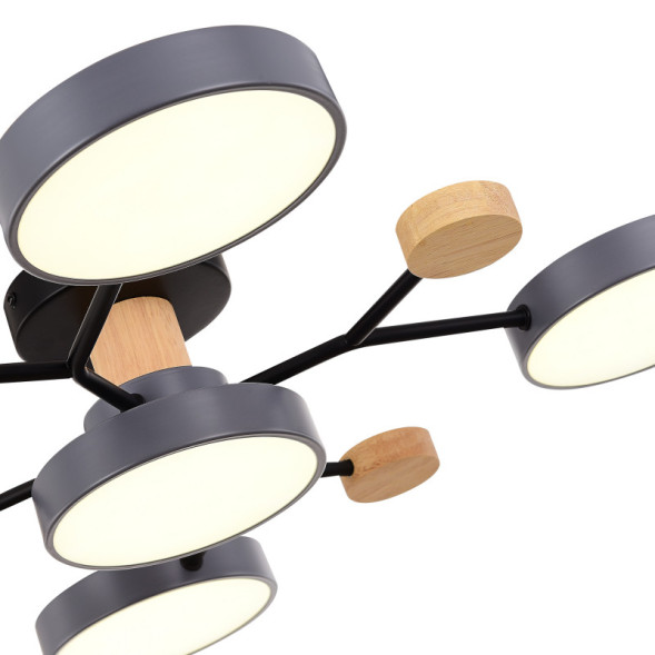 Люстра на штанге Evoluce SLE6006-702-05 FAEMA