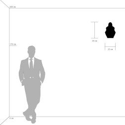 Бра Lightstar RICCIO 705634