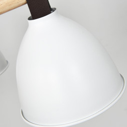 Люстра на штанге ImperiumLoft FLAN 178010-26