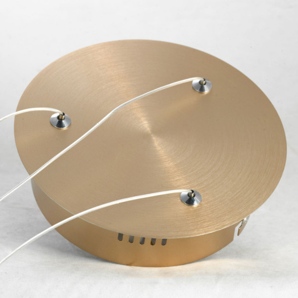 Подвесная люстра Lussole INGERSOLL LSP-8348