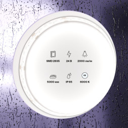 Лента Maytoni Technical 2835 10159 100W 24V 2000lm белый (холодный) IP65