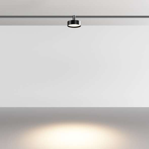 Магнитный трековый светильник Maytoni Technical Zon TR204-1-12W3K-B