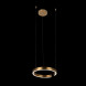 Подвесной светильник LOFT IT RING 10013S