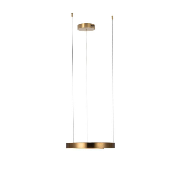 Подвесной светильник LOFT IT RING 10013S