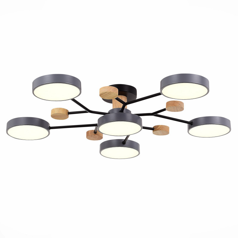 Люстра на штанге Evoluce SLE6006-702-06 FAEMA