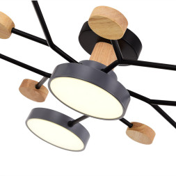 Люстра на штанге Evoluce SLE6006-702-06 FAEMA