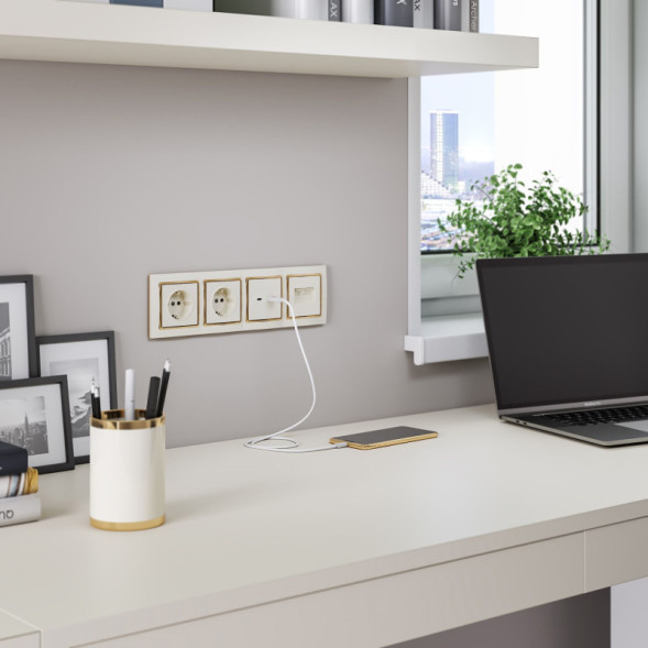 Розетка Werkel W1181103