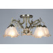 Потолочная люстра Omnilux Omnilux 548 OML-54807-05