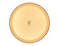 Потолочный светильник Ambrella Light ORBITAL FF97