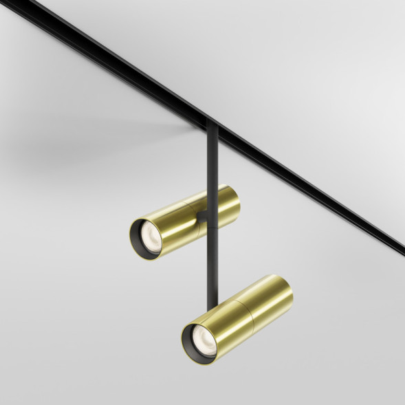 Магнитный трековый светильник Maytoni Technical Elti Duo TR005-4-2X12W-DS-BBS