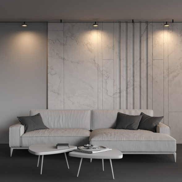 Магнитный трековый светильник Maytoni Technical Zon TR204-1-12W3K-BBS