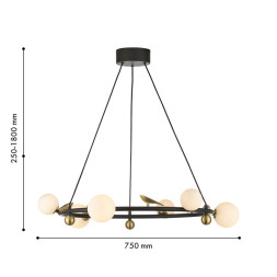 Подвесная люстра Favourite Sparrow 4324-6P
