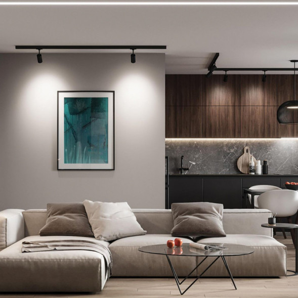 Трековый светильник Feron 41602