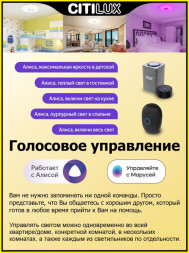 Потолочный светильник Citilux Диамант Смарт CL713A100G