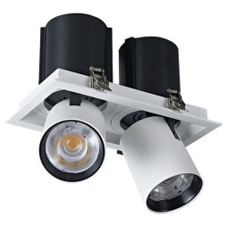 Точечный встраиваемый светильник WTD.O31.067.30.20 WERTMARK DORSUM