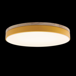 Детский светильник LOFT IT AXEL 10001/36 Yellow