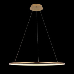 Подвесной светильник LOFT IT RING 10014L