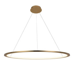 Подвесной светильник LOFT IT RING 10014L