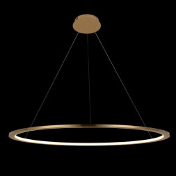 Подвесной светильник LOFT IT RING 10014L