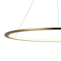 Подвесной светильник LOFT IT RING 10014L