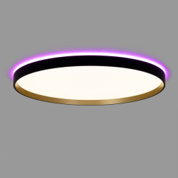 Накладной светильник Citilux CL750501R ETALON