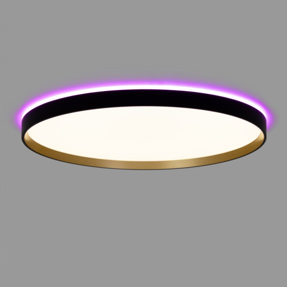 Накладной светильник Citilux CL750501R ETALON