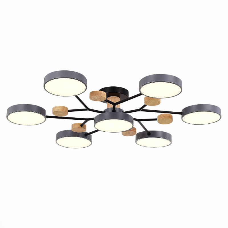 Люстра на штанге Evoluce SLE6006-702-07 FAEMA