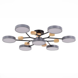 Люстра на штанге Evoluce SLE6006-702-07 FAEMA