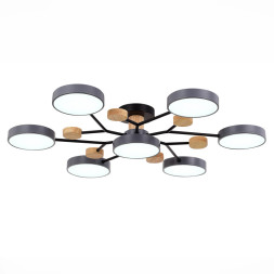 Люстра на штанге Evoluce SLE6006-702-07 FAEMA