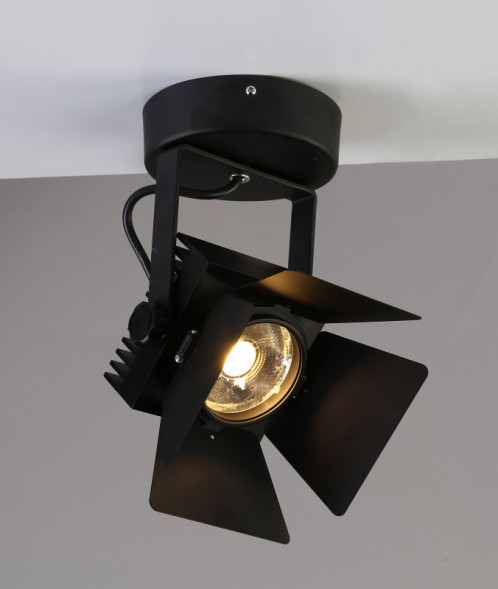 Спот Favourite Projector 1770-1U
