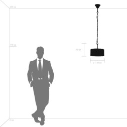 Подвесной светильник Lightstar VARESE 731034