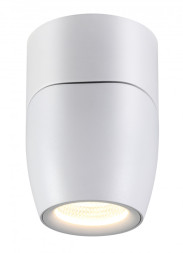 Спот Novotech Zeus 357868