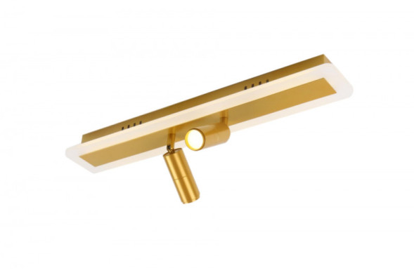 Потолочный светильник ARTE Lamp TOMMY A2607PL-22GO