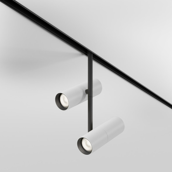 Магнитный трековый светильник Maytoni Technical Elti Duo TR005-4-2X12W-DS-BW