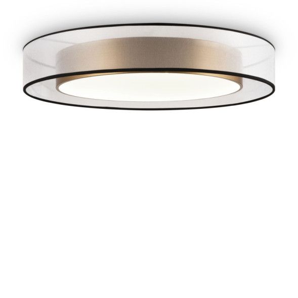 Потолочный светильник Freya Zoticus FR6005CL-L48G