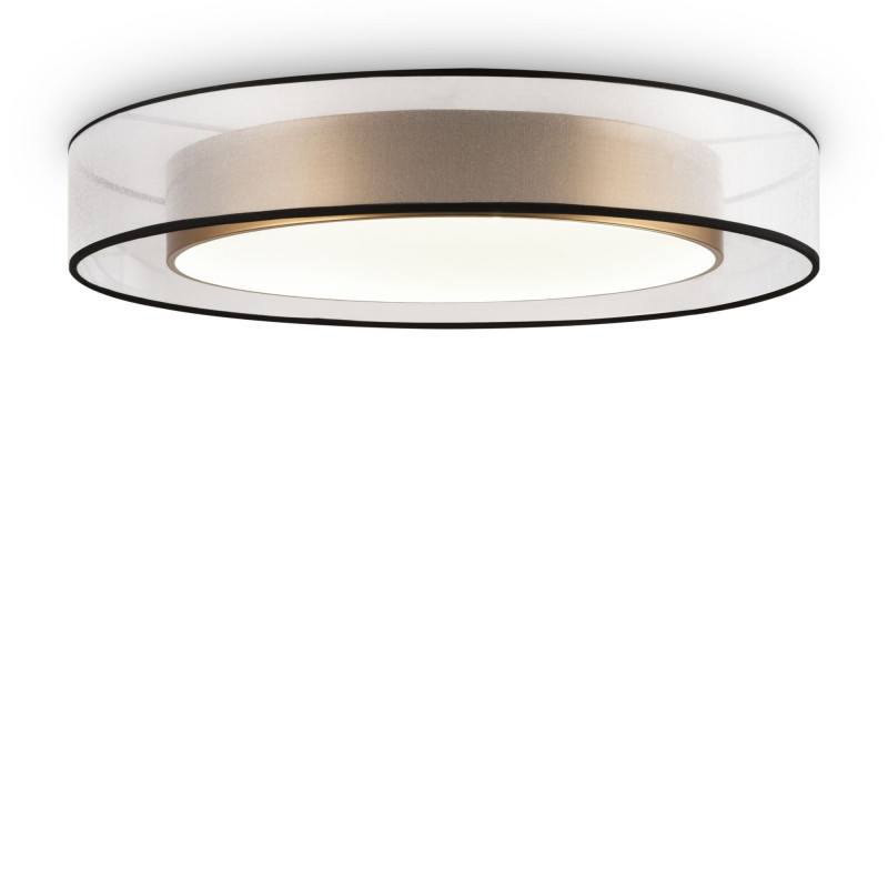 Потолочный светильник Freya Zoticus FR6005CL-L48G