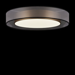 Потолочный светильник Freya Zoticus FR6005CL-L48G