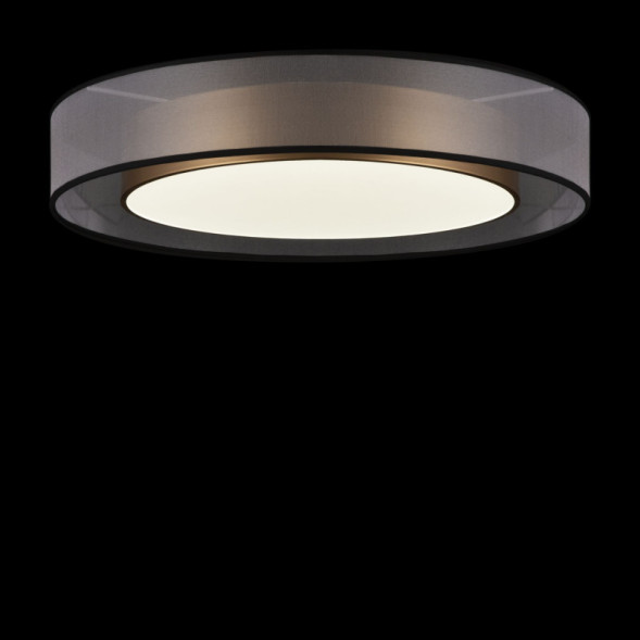 Потолочный светильник Freya Zoticus FR6005CL-L48G