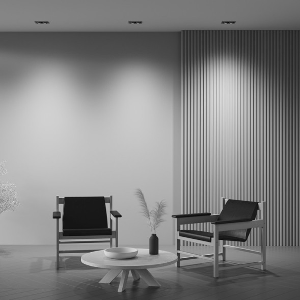 Встраиваемый точечный светильник Maytoni Technical Hidden DL045-02-10W3K-B