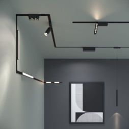 Магнитный трековый светильник Elektrostandard Трековый светильник (чёрный) 85090/01