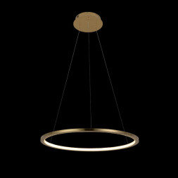 Подвесной светильник LOFT IT RING 10014M