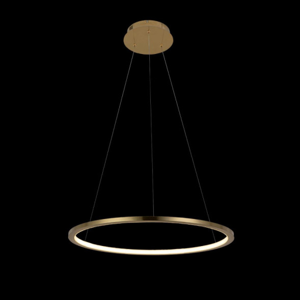 Подвесной светильник LOFT IT RING 10014M