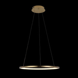 Подвесной светильник LOFT IT RING 10014M
