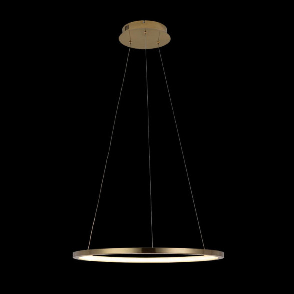 Подвесной светильник LOFT IT RING 10014M