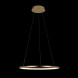 Подвесной светильник LOFT IT RING 10014M