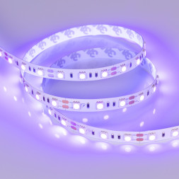 Лента Arlight RT-B60-10mm 5060 012815(2) 72W 12V 50lm ультрафиолетовый IP20