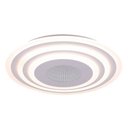 Потолочный светильник Freya MELODY FR6014CL-L98W